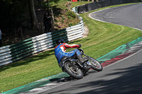 Vintage-motorcycle-club;eventdigitalimages;mallory-park;mallory-park-trackday-photographs;no-limits-trackdays;peter-wileman-photography;trackday-digital-images;trackday-photos;vmcc-festival-1000-bikes-photographs